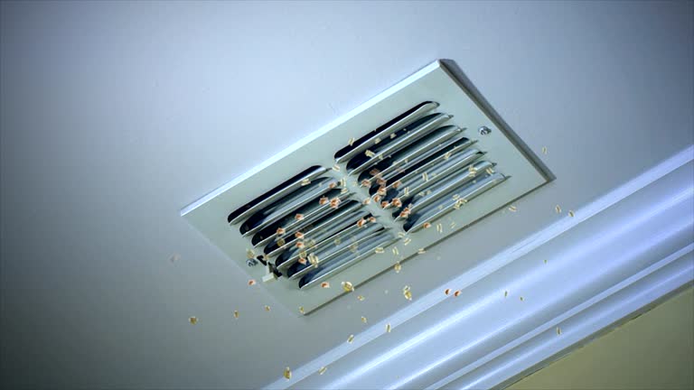 Ductwork Cleaning Services in Lely Resort, FL