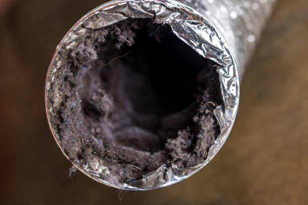 Trusted Lely Resort, FL Airduct Cleaning Experts