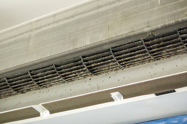 Best Residential Air Duct Cleaning  in Lely Resort, FL