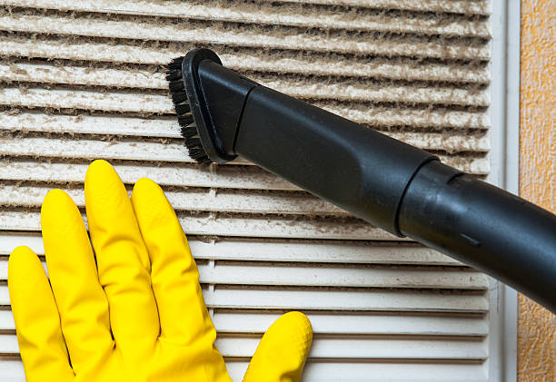 Best Local Air Duct Cleaning Services  in Lely Resort, FL